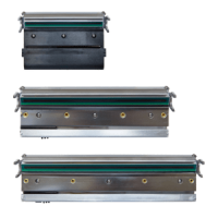 TSC Druckkopf, 12 Punkte/mm (300dpi), PEX1X31